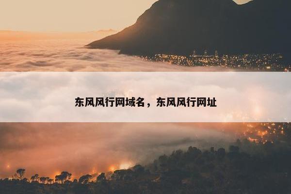 东风风行网域名，东风风行网址