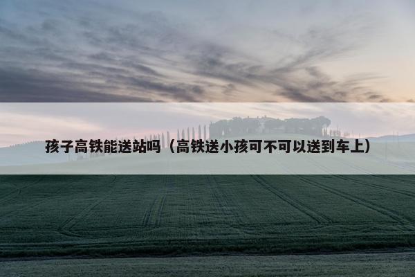 孩子高铁能送站吗（高铁送小孩可不可以送到车上）
