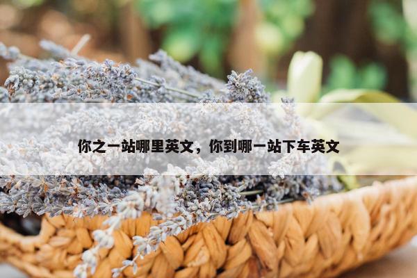 你之一站哪里英文，你到哪一站下车英文