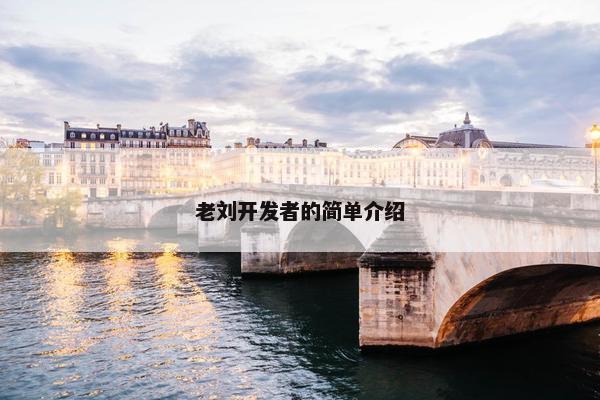 老刘开发者的简单介绍