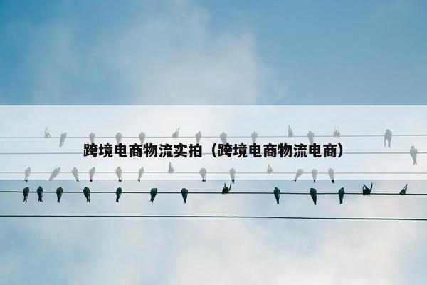 跨境电商物流实拍（跨境电商物流电商）