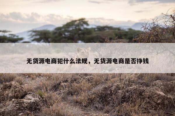 无货源电商犯什么法规，无货源电商是否挣钱