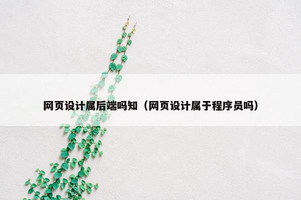 网页设计属后端吗知（网页设计属于程序员吗）