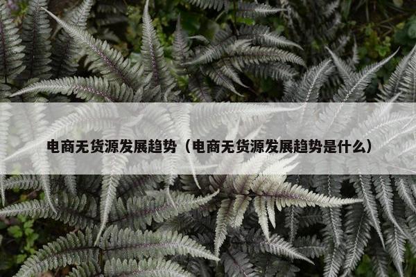 电商无货源发展趋势（电商无货源发展趋势是什么）