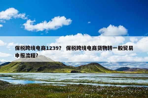 保税跨境电商1239？ 保税跨境电商货物转一般贸易申报流程？