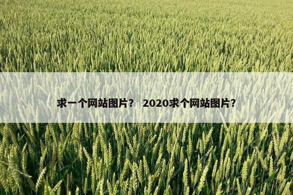 求一个网站图片？ 2020求个网站图片？