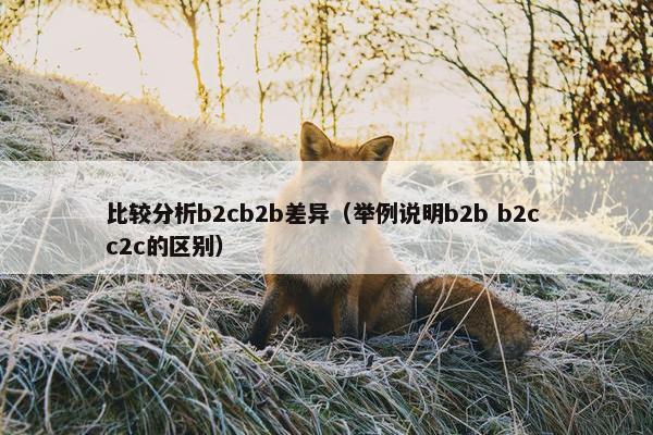 比较分析b2cb2b差异（举例说明b2b b2c c2c的区别）