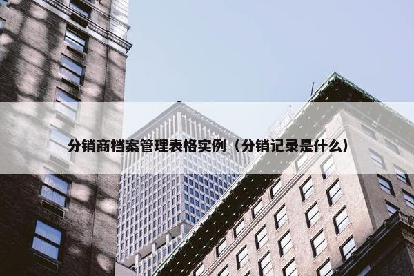 分销商档案管理表格实例（分销记录是什么）