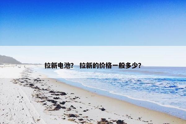 拉新电池？ 拉新的价格一般多少？