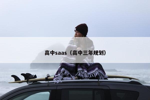高中saas（高中三年规划）