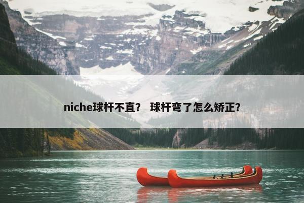niche球杆不直？ 球杆弯了怎么矫正？
