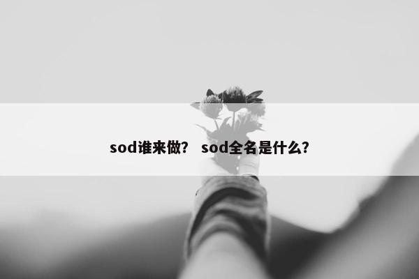 sod谁来做？ sod全名是什么？