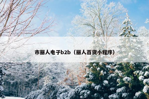 市丽人电子b2b（丽人百货小程序）