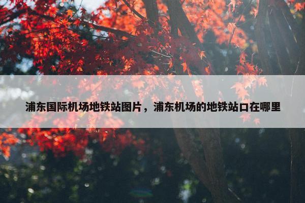 浦东国际机场地铁站图片，浦东机场的地铁站口在哪里