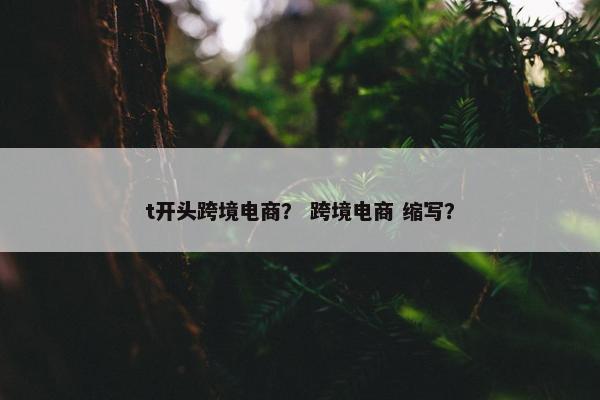 t开头跨境电商？ 跨境电商 缩写？