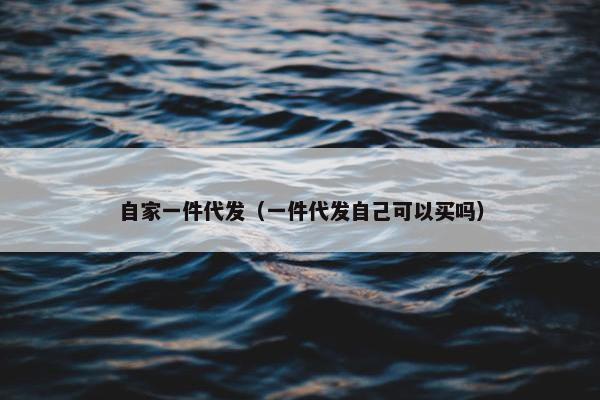 自家一件代发（一件代发自己可以买吗）