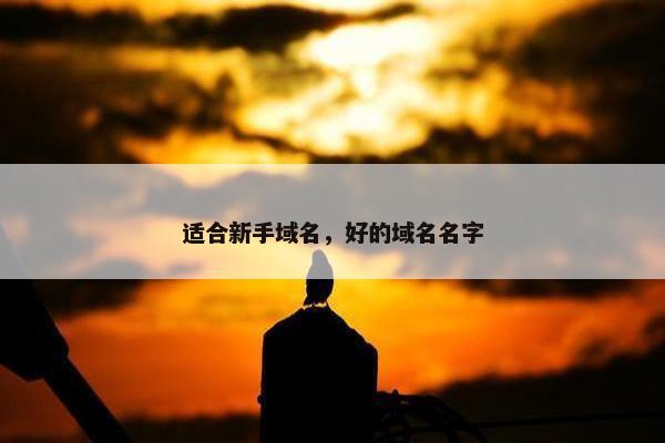适合新手域名，好的域名名字