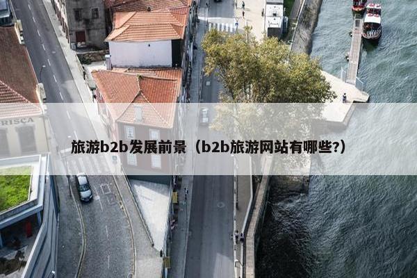 旅游b2b发展前景（b2b旅游网站有哪些?）