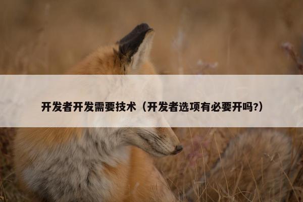 开发者开发需要技术（开发者选项有必要开吗?）