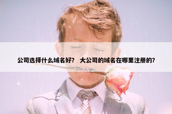 公司选择什么域名好？ 大公司的域名在哪里注册的？