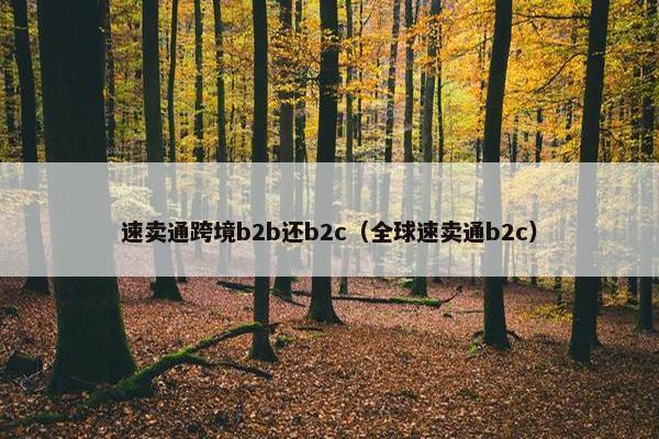 速卖通跨境b2b还b2c（全球速卖通b2c）
