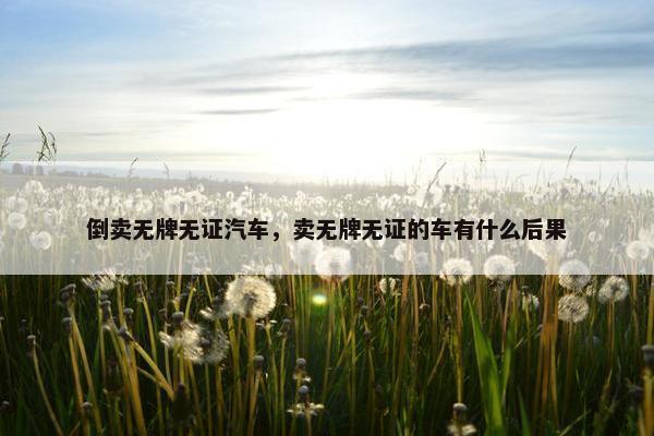倒卖无牌无证汽车，卖无牌无证的车有什么后果