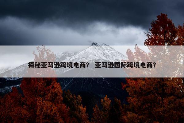 探秘亚马逊跨境电商？ 亚马逊国际跨境电商？