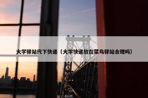 大学驿站代下快递（大学快递放在菜鸟驿站合理吗）