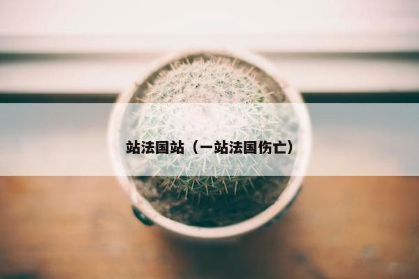 站法国站（一站法国伤亡）