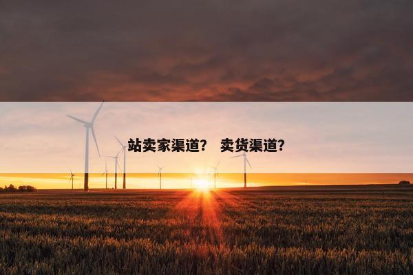 站卖家渠道？ 卖货渠道？