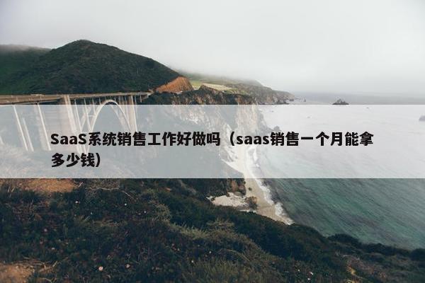SaaS系统销售工作好做吗（saas销售一个月能拿多少钱）