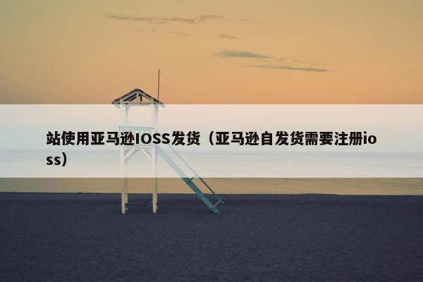 站使用亚马逊IOSS发货（亚马逊自发货需要注册ioss）