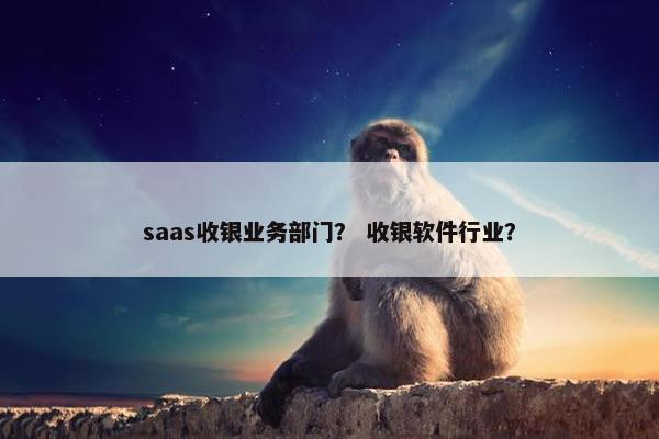 saas收银业务部门？ 收银软件行业？