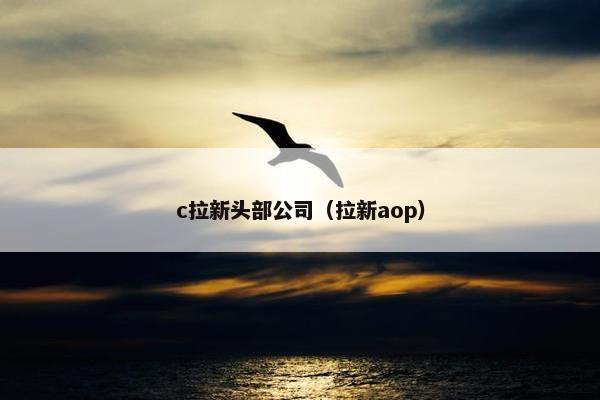 c拉新头部公司（拉新aop）