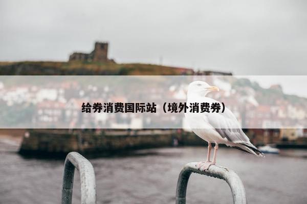 给券消费国际站（境外消费券）