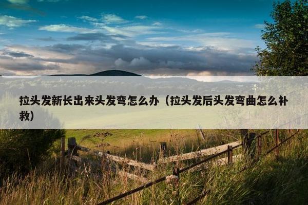 拉头发新长出来头发弯怎么办（拉头发后头发弯曲怎么补救）