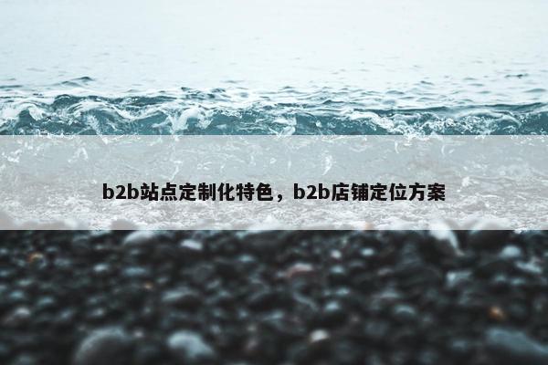 b2b站点定制化特色，b2b店铺定位方案