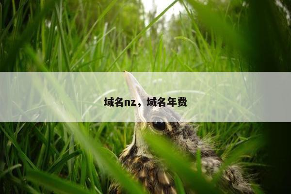 域名nz，域名年费