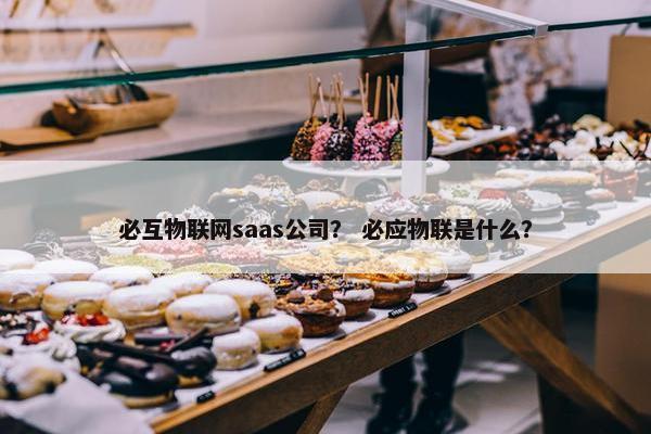 必互物联网saas公司？ 必应物联是什么？
