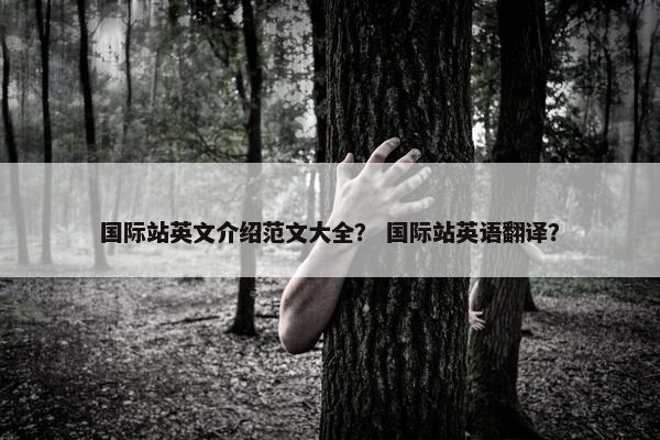 国际站英文介绍范文大全？ 国际站英语翻译？