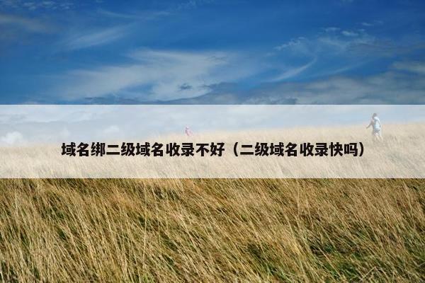 域名绑二级域名收录不好（二级域名收录快吗）