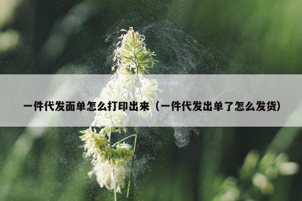 一件代发面单怎么打印出来（一件代发出单了怎么发货）