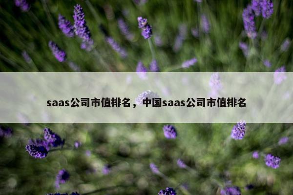 saas公司市值排名，中国saas公司市值排名