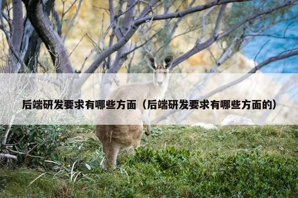 后端研发要求有哪些方面（后端研发要求有哪些方面的）
