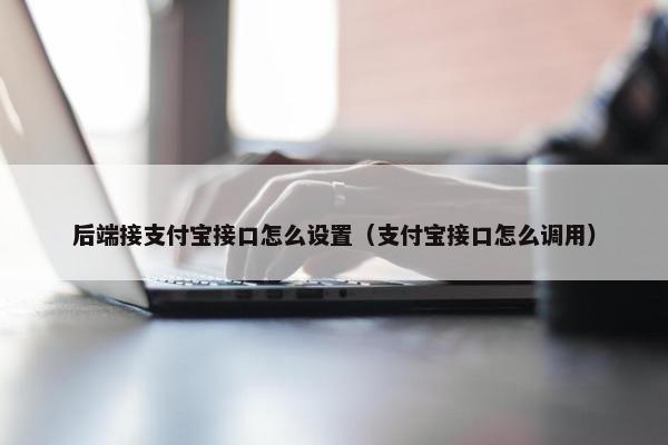后端接支付宝接口怎么设置（支付宝接口怎么调用）