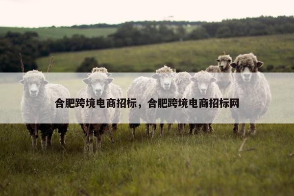合肥跨境电商招标，合肥跨境电商招标网