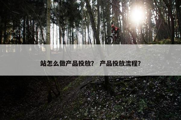 站怎么做产品投放？ 产品投放流程？
