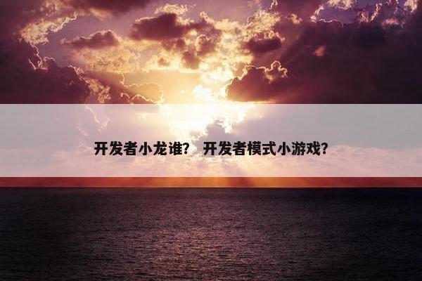开发者小龙谁？ 开发者模式小游戏？
