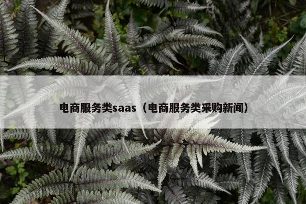 电商服务类saas（电商服务类采购新闻）