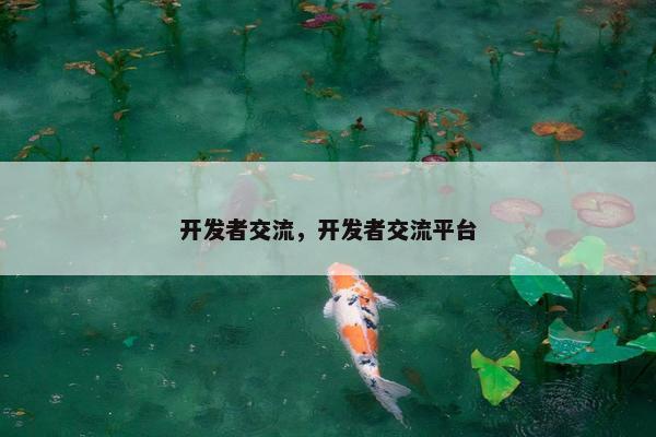 开发者交流，开发者交流平台
